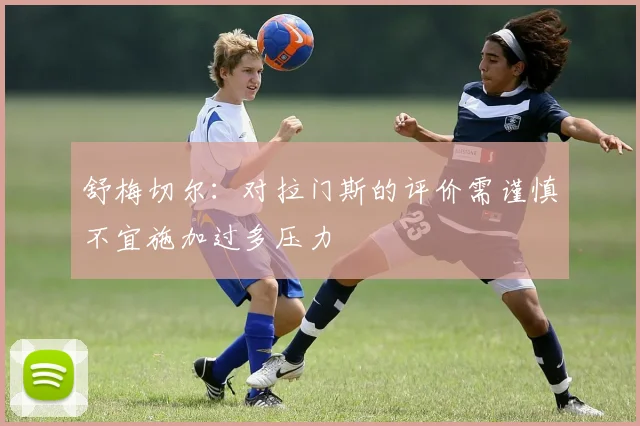 舒梅切尔：对拉门斯的评价需谨慎不宜施加过多压力