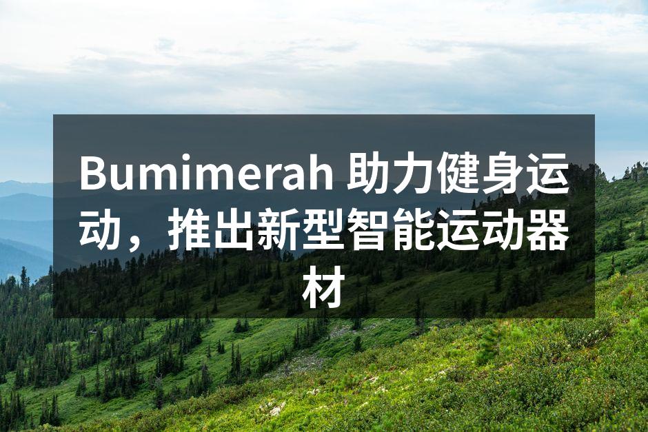 Bumimerah 新型智能哑铃