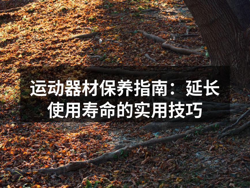 运动器材清洁必备工具
