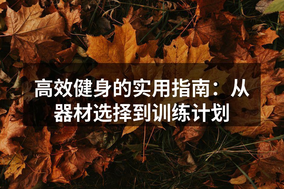 多功能健身器材助力训练